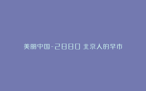 美丽中国-2880:北京人的早市