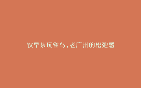 饮早茶玩雀鸟,老广州的松弛感