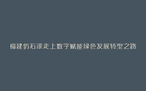 福建仿石漆走上数字赋能绿色发展转型之路