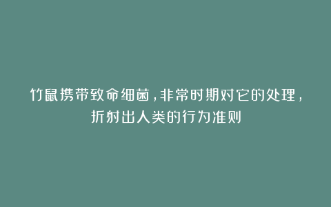 竹鼠携带致命细菌,非常时期对它的处理,折射出人类的行为准则