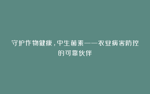 守护作物健康,中生菌素——农业病害防控的可靠伙伴