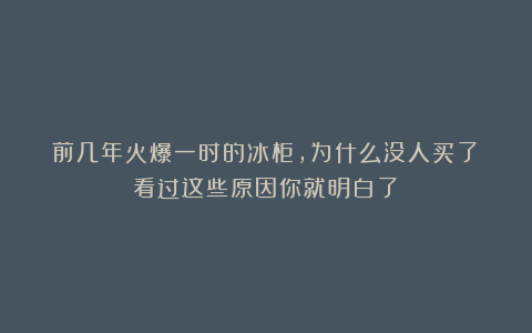 前几年火爆一时的冰柜,为什么没人买了?看过这些原因你就明白了!