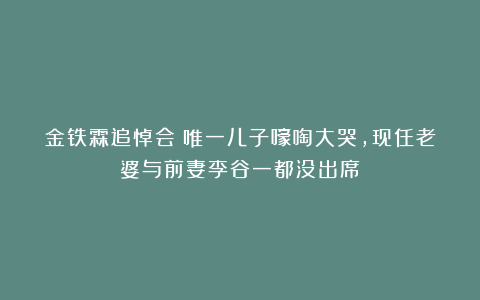 金铁霖追悼会:唯一儿子嚎啕大哭,现任老婆与前妻李谷一都没出席