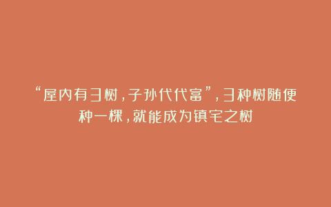 “屋内有3树,子孙代代富”,3种树随便种一棵,就能成为镇宅之树