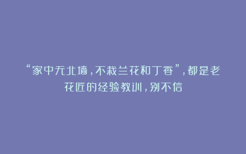 “家中无北墙,不栽兰花和丁香”,都是老花匠的经验教训,别不信
