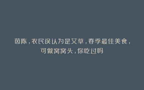 茵陈,农民误认为是艾草,春季最佳美食,可做窝窝头,你吃过吗?