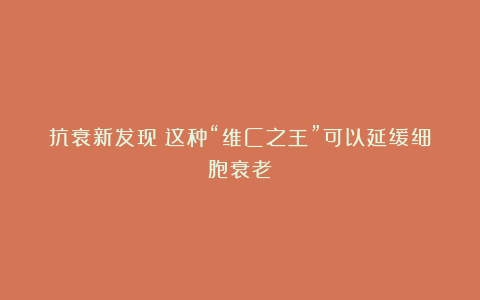 抗衰新发现!这种“维C之王”可以延缓细胞衰老