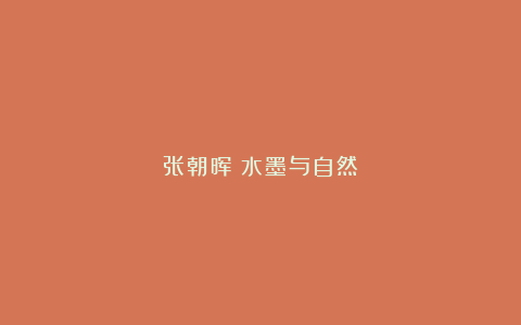 张朝晖:水墨与自然