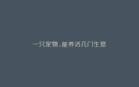一只宠物,能养活几门生意?