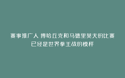 赛事推广人:博哈丘克和马德里莫夫的比赛已经是世界拳王战的模样