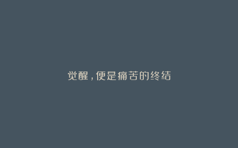 觉醒,便是痛苦的终结