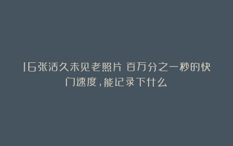 16张活久未见老照片:百万分之一秒的快门速度,能记录下什么?