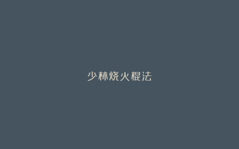 少林烧火棍法