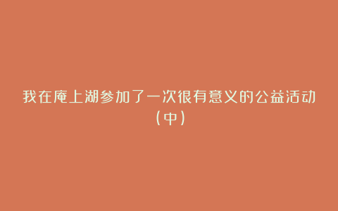 我在庵上湖参加了一次很有意义的公益活动(中)