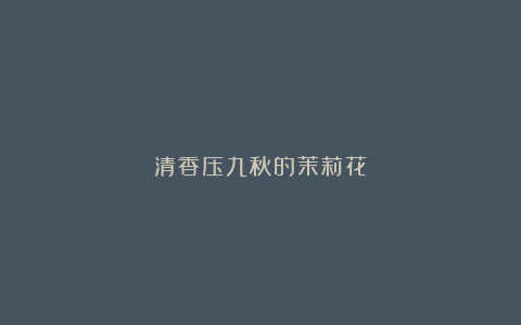 清香压九秋的茉莉花
