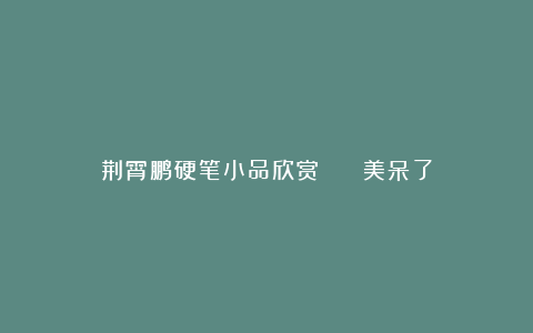 荆霄鹏硬笔小品欣赏 || 美呆了