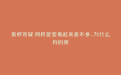 紫砂答疑丨同样是壶看起来差不多,为什么有的贵?