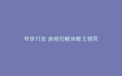 奇珍共赏:清朝官帽顶戴玉翎管