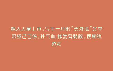 秋天大量上市,5毛一斤的“长寿瓜”比苹果强20倍,补气血!修复胃黏膜,便秘绕道走
