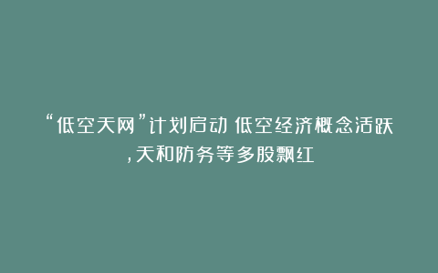 “低空天网”计划启动!低空经济概念活跃,天和防务等多股飘红