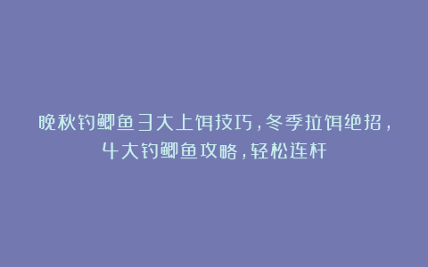 晚秋钓鲫鱼3大上饵技巧,冬季拉饵绝招,4大钓鲫鱼攻略,轻松连杆