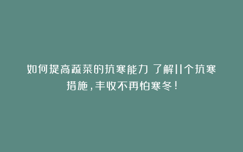 如何提高蔬菜的抗寒能力?了解11个抗寒措施,丰收不再怕寒冬!