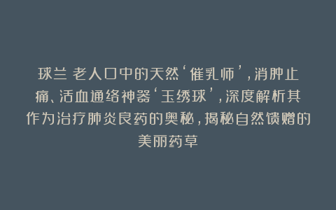 球兰：老人口中的天然‘催乳师’，消肿止痛、活血通络神器‘玉绣球’，深度解析其作为治疗肺炎良药的奥秘，揭秘自然馈赠的美丽药草！