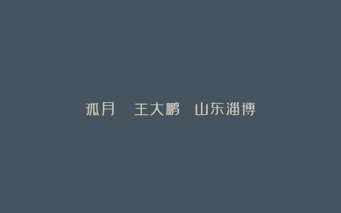 孤月 ||王大鹏 (山东淄博)