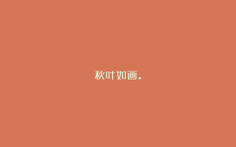 秋叶如画。