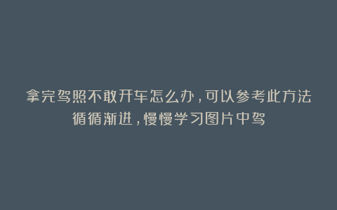 拿完驾照不敢开车怎么办,可以参考此方法循循渐进,慢慢学习图片中驾