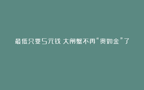 最低只要5元钱!大闸蟹不再“贵如金”了?