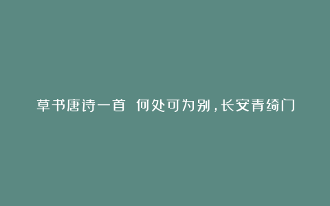 草书唐诗一首 何处可为别,长安青绮门