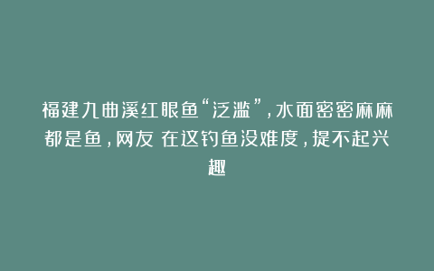 福建九曲溪红眼鱼“泛滥”,水面密密麻麻都是鱼,网友:在这钓鱼没难度,提不起兴趣