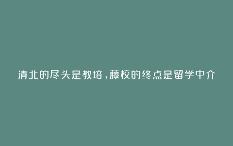 清北的尽头是教培，藤校的终点是留学中介