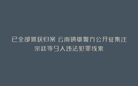 已全部抓获归案!云南镇雄警方公开征集汪宗廷等9人违法犯罪线索