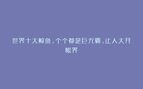 世界十大鲸鱼,个个都是巨无霸,让人大开眼界