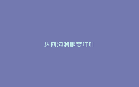达西沟溜腿赏红叶