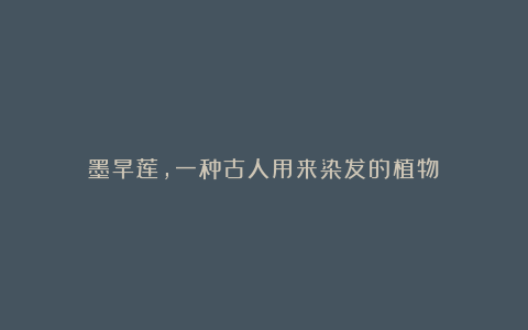 墨旱莲,一种古人用来染发的植物!