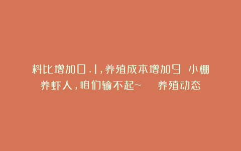 料比增加0.1,养殖成本增加9%!小棚养虾人,咱们输不起~ | 养殖动态
