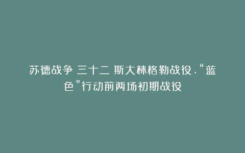 苏德战争(三十二)斯大林格勒战役.“蓝色”行动前两场初期战役
