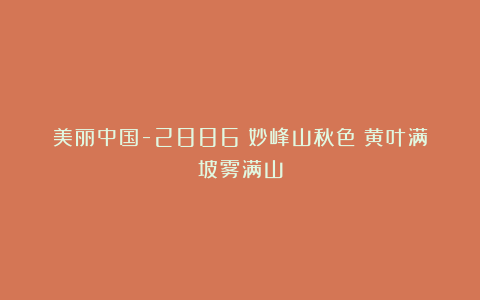 美丽中国-2886:妙峰山秋色:黄叶满坡雾满山