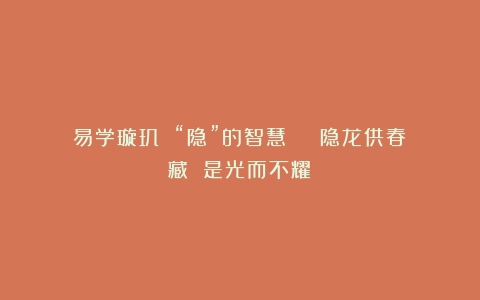 易学璇玑 “隐”的智慧 | 隐龙供春(藏 是光而不耀)
