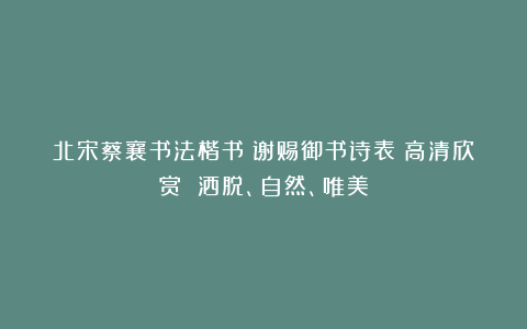 北宋蔡襄书法楷书《谢赐御书诗表》高清欣赏 洒脱、自然、唯美