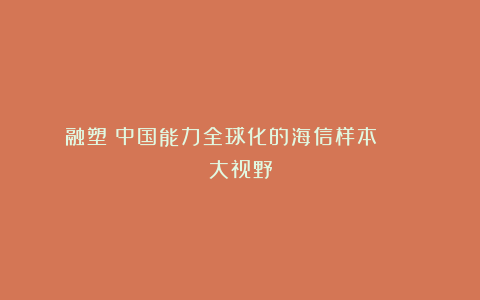 融塑:中国能力全球化的海信样本 || 大视野