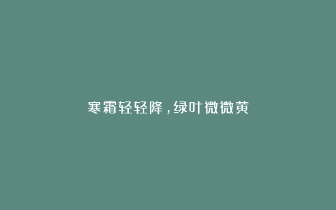寒霜轻轻降,绿叶微微黄