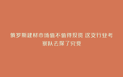 俄罗斯建材市场值不值得投资?这支行业考察队去探了究竟
