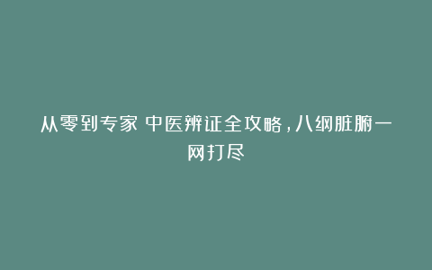 从零到专家：中医辨证全攻略，八纲脏腑一网打尽