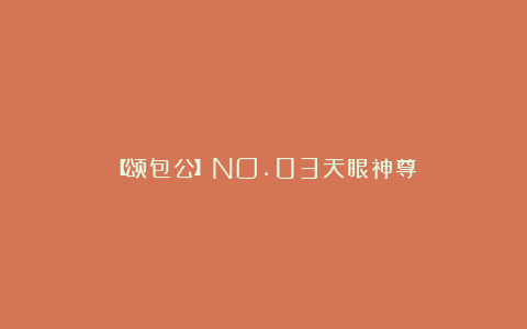 【颂包公】NO.03天眼神尊