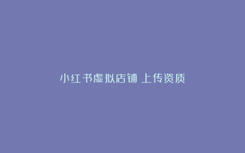 小红书虚拟店铺：上传资质