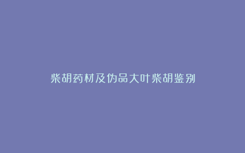 柴胡药材及伪品大叶柴胡鉴别